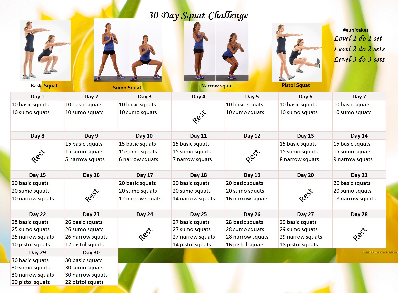 squats challenge calendar